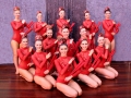 Eltham_Seniors_Clubs1