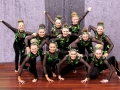 Eltham_Seniors_Freearm1